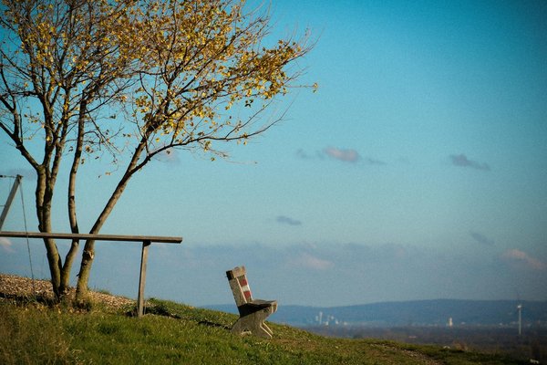 Comment la consommation de spiruline peut-elle améliorer les performances athlétiques?