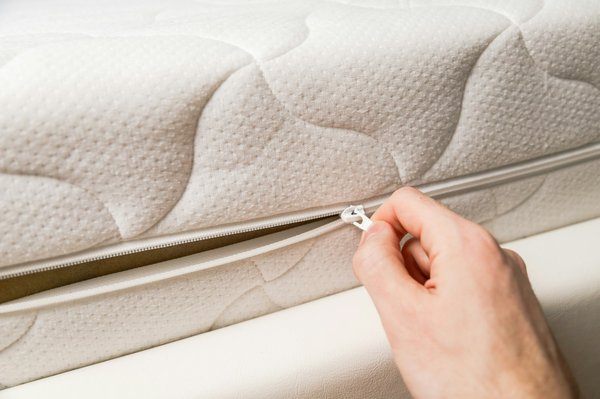 Housses de matelas anti-punaises de lit : votre rempart efficace